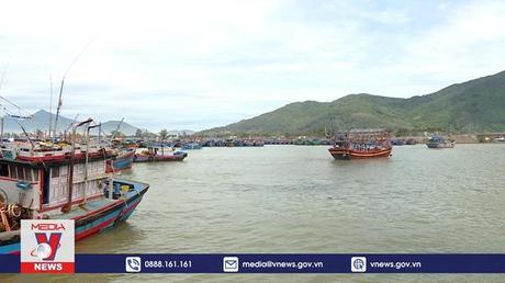 Ngư dân vươn khơi sau bão