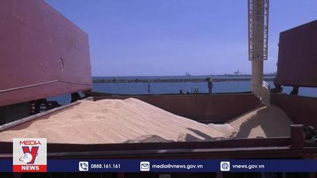 Thổ Nhĩ Kỳ kêu gọi gia hạn thỏa thuận xuất khẩu ngũ cốc