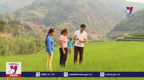 Những thanh niên La Hủ tiên phong phát triển kinh tế