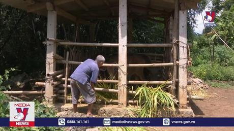 Già hóa dân số và vấn đề lao động người cao tuổi