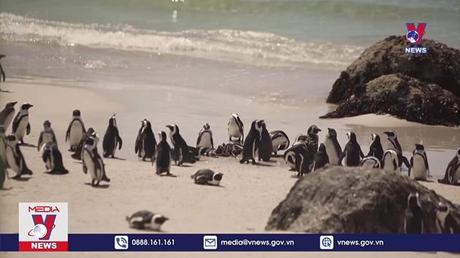 Bản tin Thời sự 20h ngày 01/10/2022