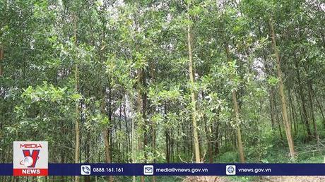 Khó khăn khi thực hiện mở đường lâm nghiệp tại Bắc Kạn