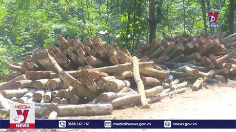 Bản tin Thời sự 13h ngày 02/10/2022