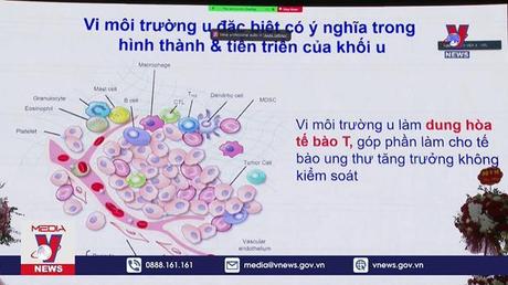 Hơn 300.000 người Việt đang sống chung với ung thư 