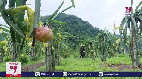 Sơn La khó khăn khi áp dụng công nghệ và cơ giới hóa trong nông nghiệp 