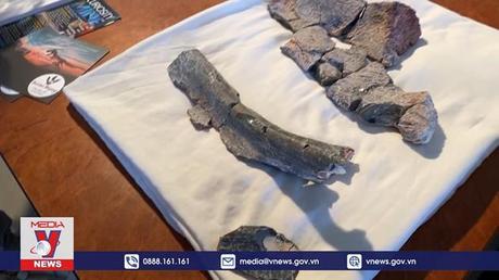 Cuộc thi tìm kiếm hóa thạch khủng long ở Australia