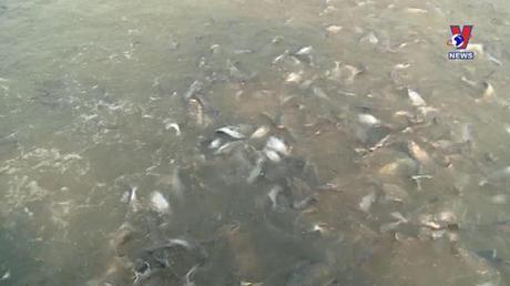 Bản tin tiếng Anh ngày 4/10/2022