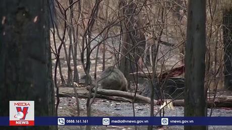 Australia dành 30% diện tích để bảo tồn thiên nhiên