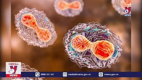 Bệnh nhân đầu tiên mắc đậu mùa khỉ đã âm tính với virus