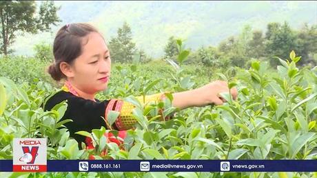 Phát triển thương mại miền núi