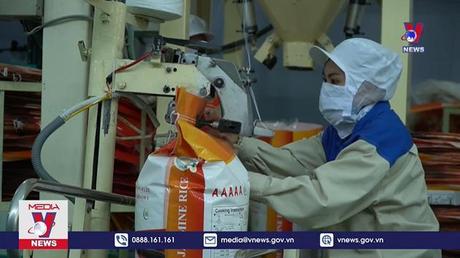 Giá gạo Việt Nam tăng vượt Thái Lan