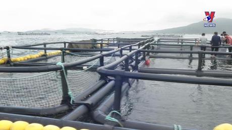 Khoa học công nghệ: Thay đổi cách nuôi truyền thống sang nuôi hiện đại, công nghệ cao