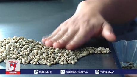 Nâng tầm thương hiệu cà phê Sơn La