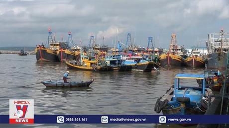 Báo Thái Lan: Việt Nam nỗ lực loại bỏ đánh bắt cá bất hợp pháp