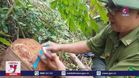 Bản tin thời sự 22h ngày 07/10/2022