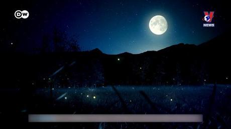 Tạp chí toàn cầu số 599 ngày 07/10/2022