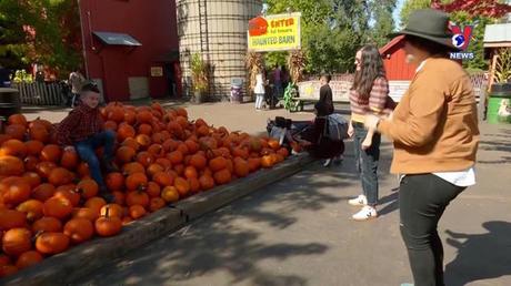 Nhật trình kinh tế ngày 08/10/2022