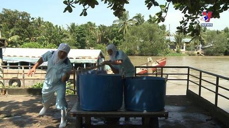 Bản tin tiếng Anh ngày 08/10/2022