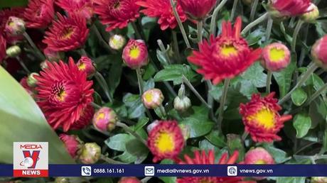 Độc đáo triển lãm hoa New York (Mỹ)