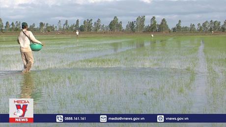 ĐBSCL đón “lũ đẹp” từ ngày 9/10