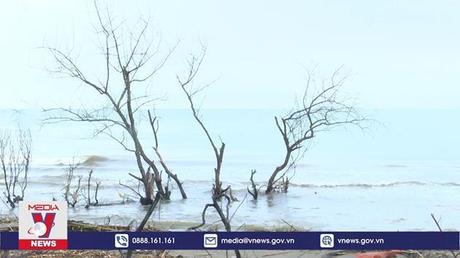 Biển lấn sâu ảnh hưởng đến đời sống người dân ở Thanh Hóa