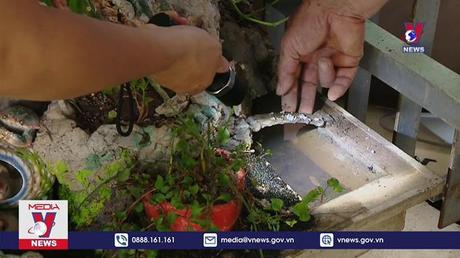 Sốt xuất huyết tăng mạnh