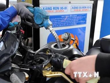 Thành phố Hồ Chí Minh: Xác định 54 cửa hàng tạm hết xăng dầu