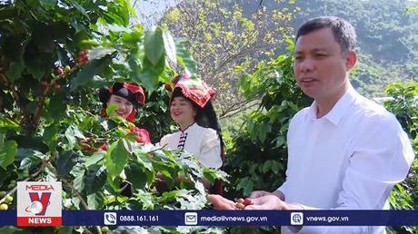 Tưng bừng Ngày hội cà phê thành phố Sơn La 2022