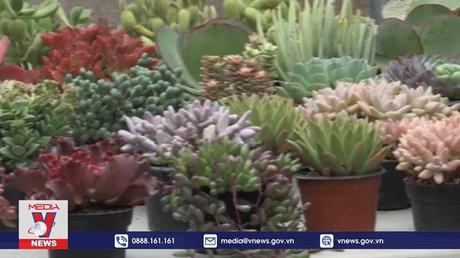 Lễ hội hoa mùa thu tại Mexico