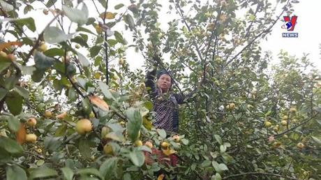 Bản tin tiếng Trung ngày 09/10/2022