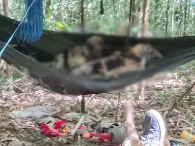 Hai thi thể tử vong bí ẩn trong rừng K'bang là 2 cha con