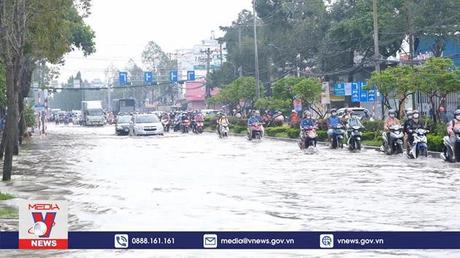 Đường biến thành sông vì triều cường dâng cao