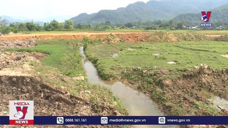 Bản tin thời sự 8h ngày 11/10/2022