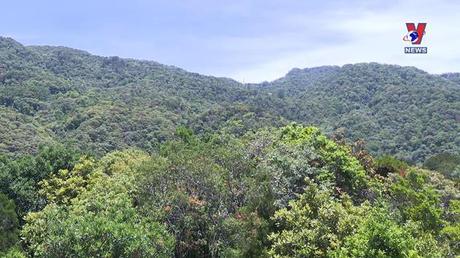 Bản tin tiếng Trung ngày 11/10/2022