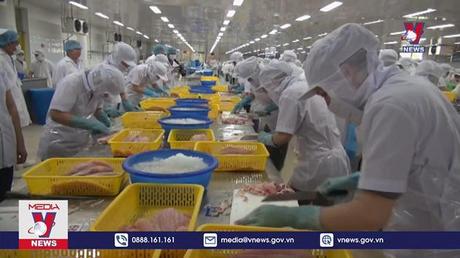 Xuất khẩu sụt giảm do lạm phát toàn cầu 