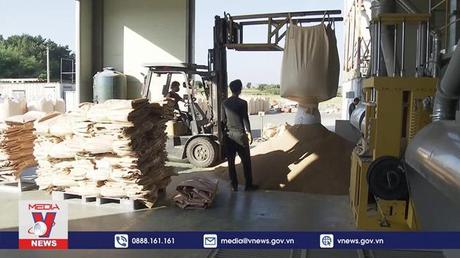 Được mùa mất giá – Nỗi khổ của nông dân Hàn Quốc