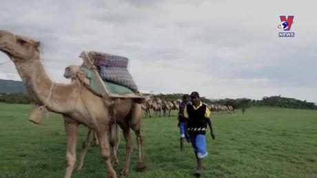 Đường dây nóng 389 ngày 12/10/2022