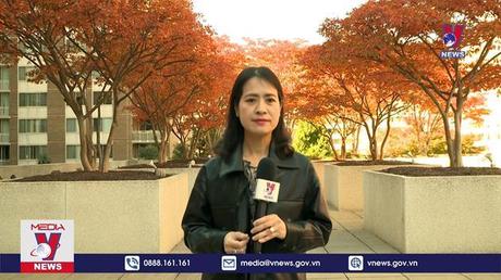 IMF hạ dự báo tăng trưởng kinh tế toàn cầu năm 2023