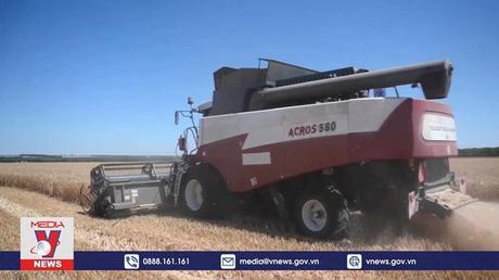 Nga xem xét thay đổi hạn ngạch xuất khẩu ngũ cốc