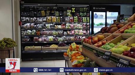 Mua rau trực tiếp từ tủ lạnh thủy canh