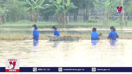 Dự báo sớm “chìa khóa” giảm thiểu rủi ro thiên tai