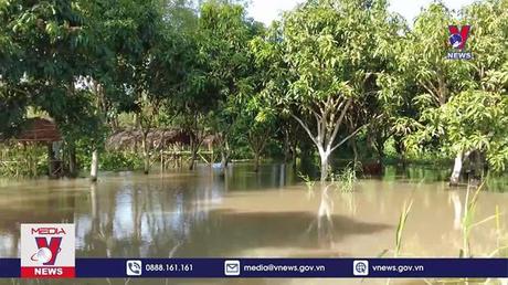 Bản tin thời sự 13h ngày 13/10/2022