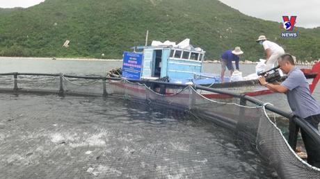 Khoa học và Công nghệ: Thay đổi cách nuôi truyền thống sang nuôi hiện đại công nghệ cao 