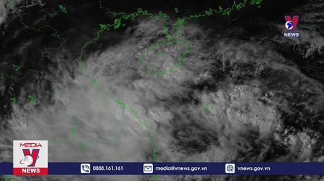 Tin bão khẩn cấp 