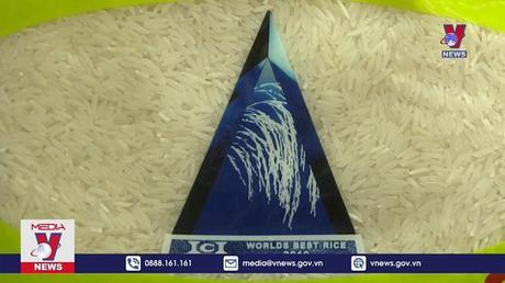 Gạo ST24, ST25 dược bảo hộ tại Australia