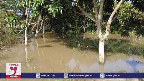 Đồng Tháp chủ động ứng phó với lũ kết hợp triều cường