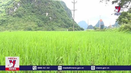 Không khí lạnh tràn về, miền Bắc trở lạnh 