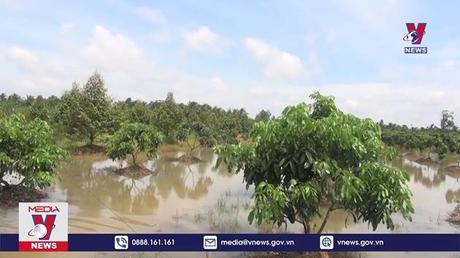 Triều cường ảnh hưởng đến cuộc sống người dân Vĩnh Long