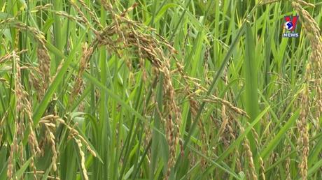 Bản tin tiếng Trung ngày 16/10/2022