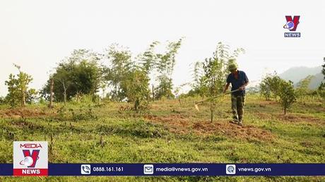 Mang sinh kế tiếp sức cho người nghèo 